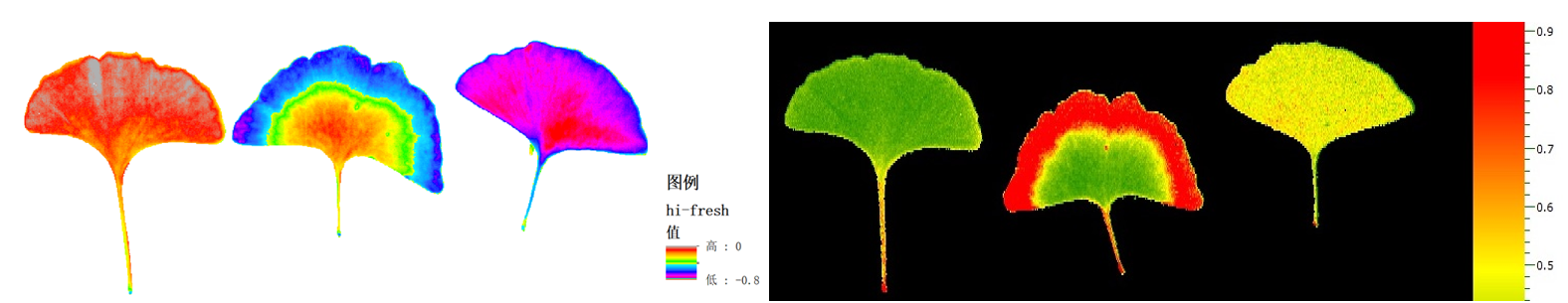 易科泰光谱成像技术——植物天然活性物质和次生代谢产物无损高光谱检测方案